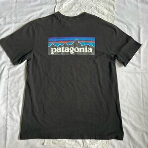 SOLD Patagonia tee